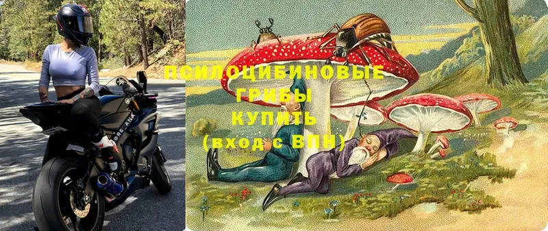 Псилоцибиновые грибы прущие грибы  Воркута 